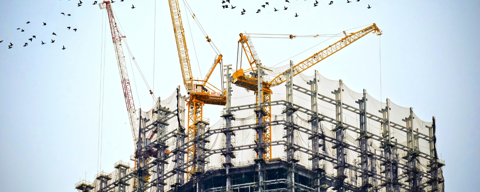 Practical ERP Solutions Background