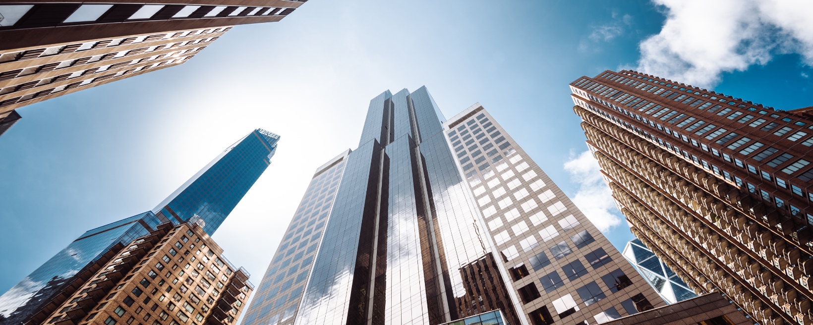 Practical ERP Solutions Background