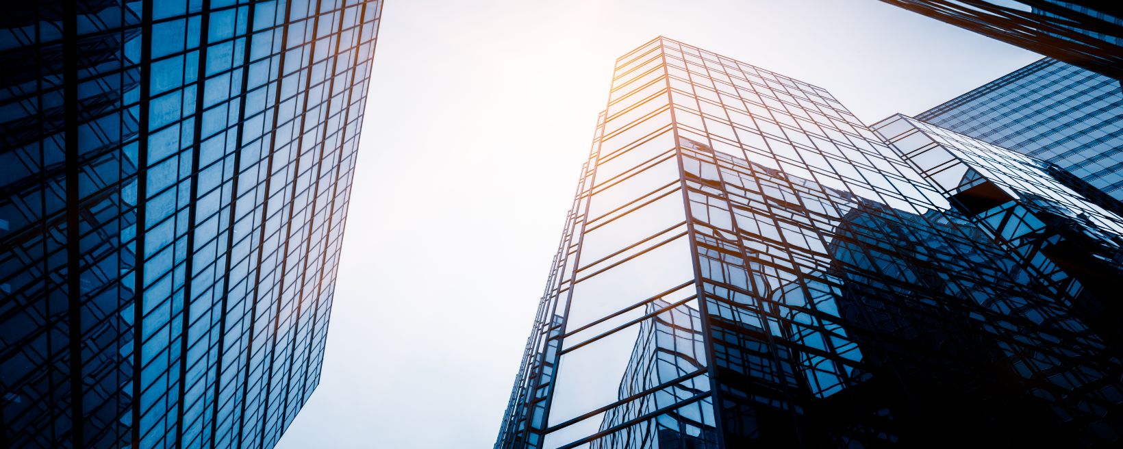 Practical ERP Solutions Background